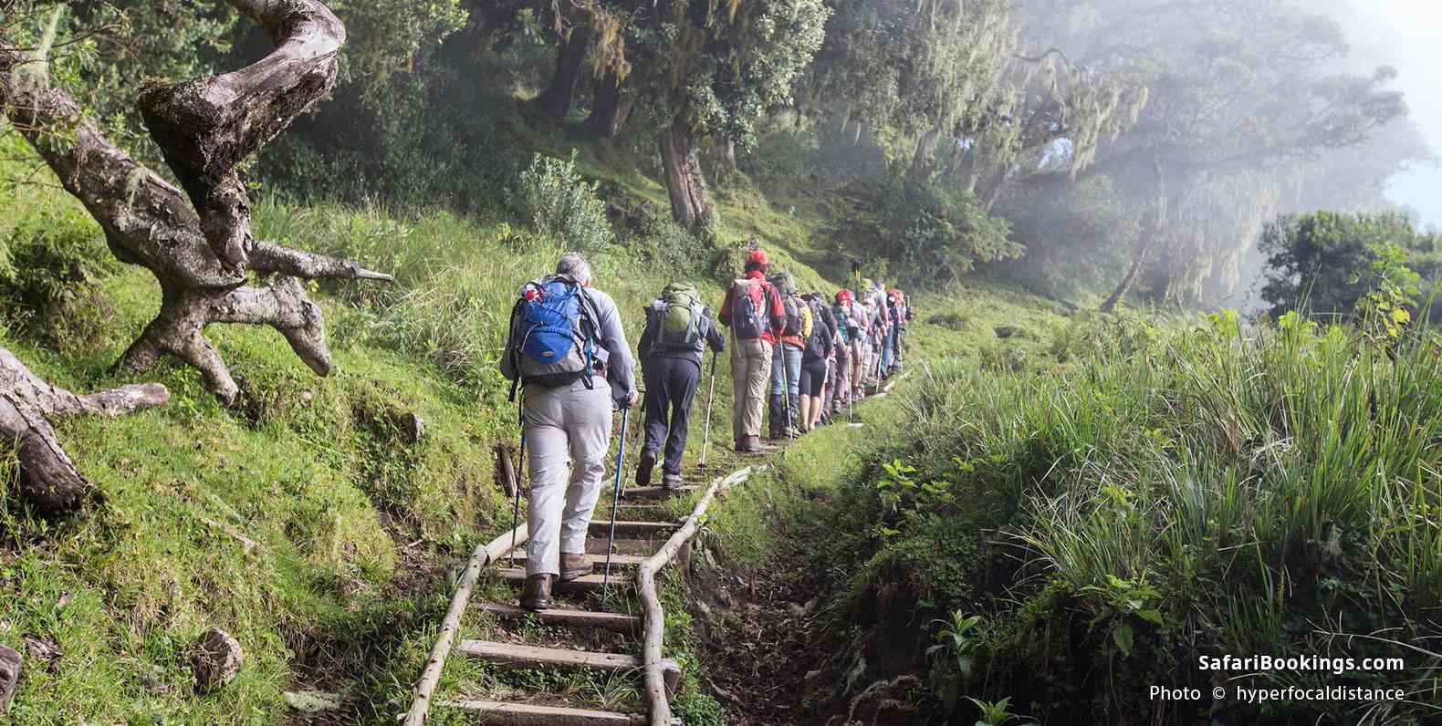 Meru Summit View