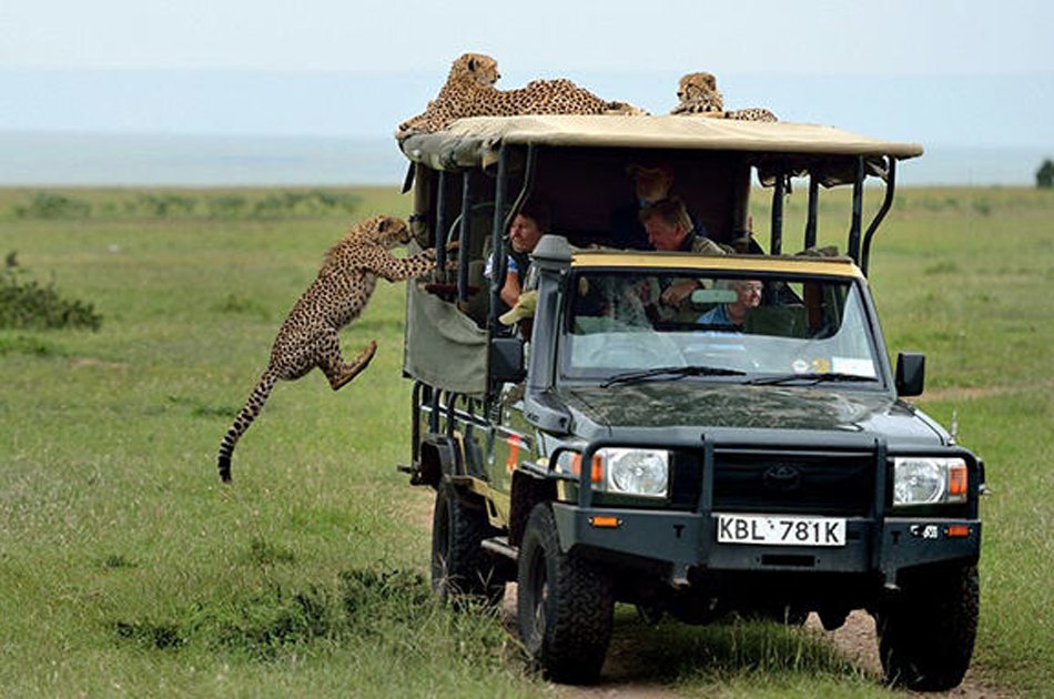 Tarangire