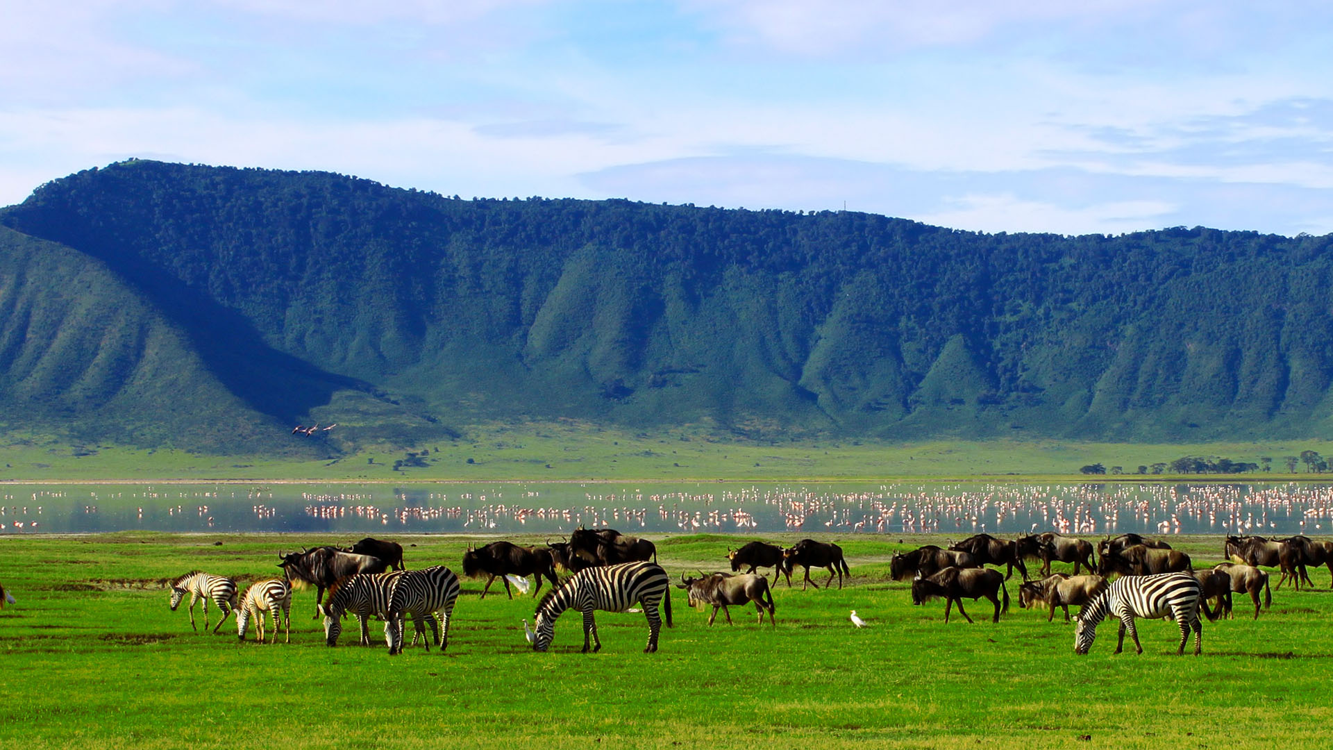 Ngorongoro