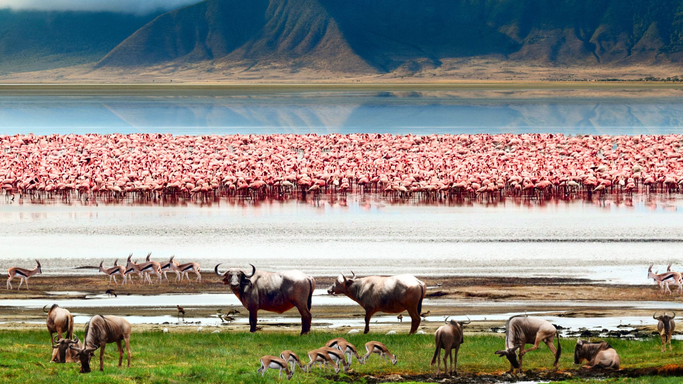 Serengeti
