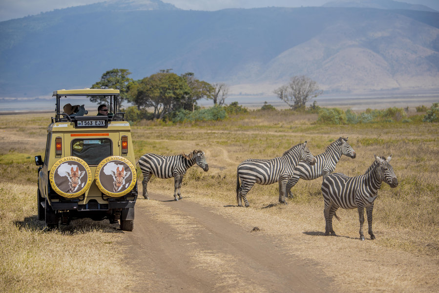 Tarangire