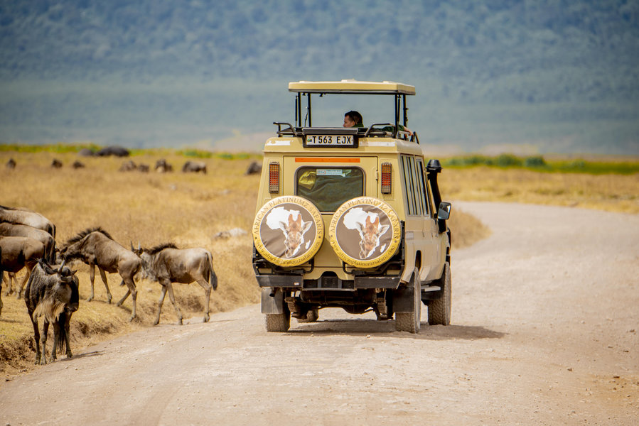 Serengeti Safari