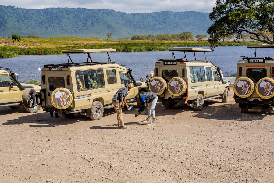 Ngorongoro