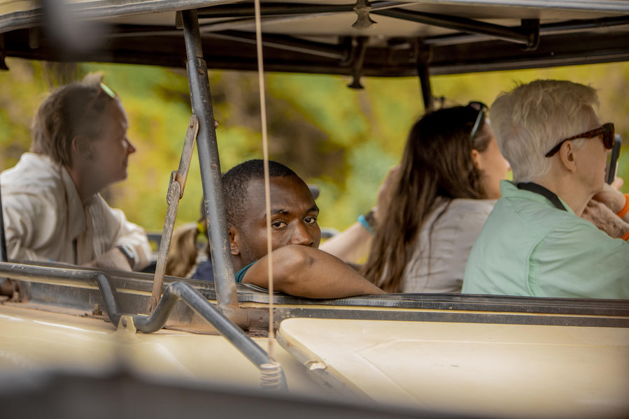Migration Safari