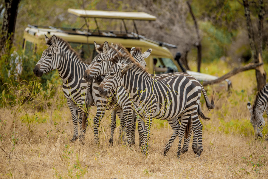 Tarangire