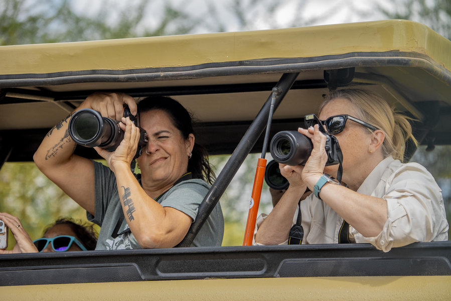 Big 5 Safari