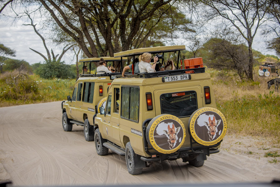 Ngorongoro