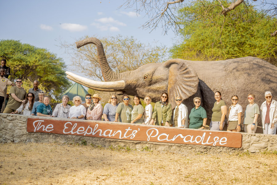 Tarangire Elephants