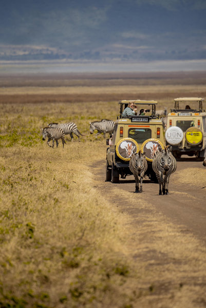 Tarangire