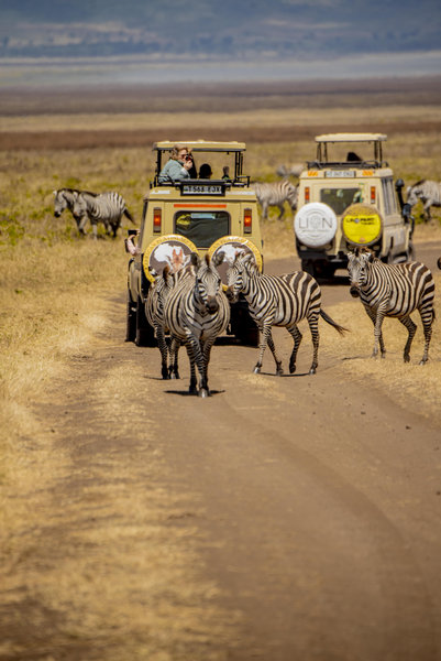 Serengeti