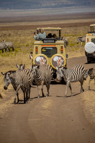 Tarangire