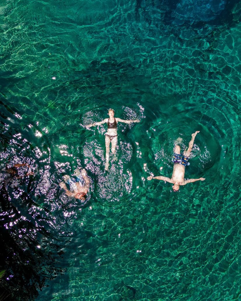 Canoeing and Boat Safaris