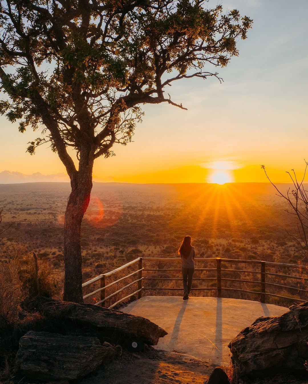 Saadani Beach Wildlife