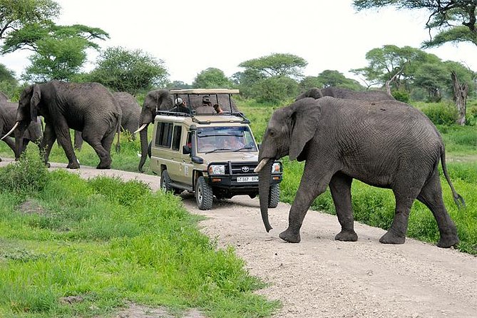 Tarangire