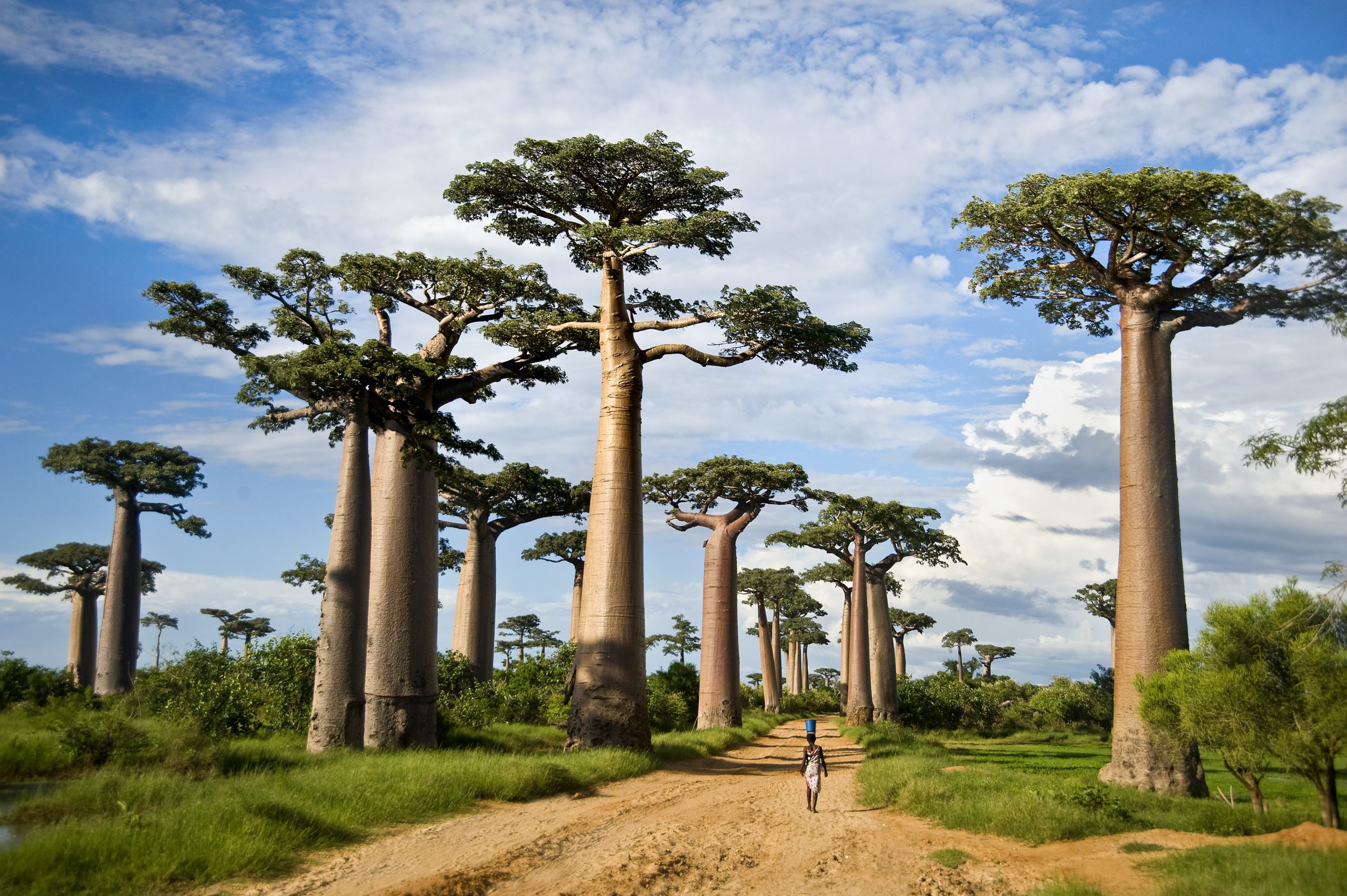 Arusha