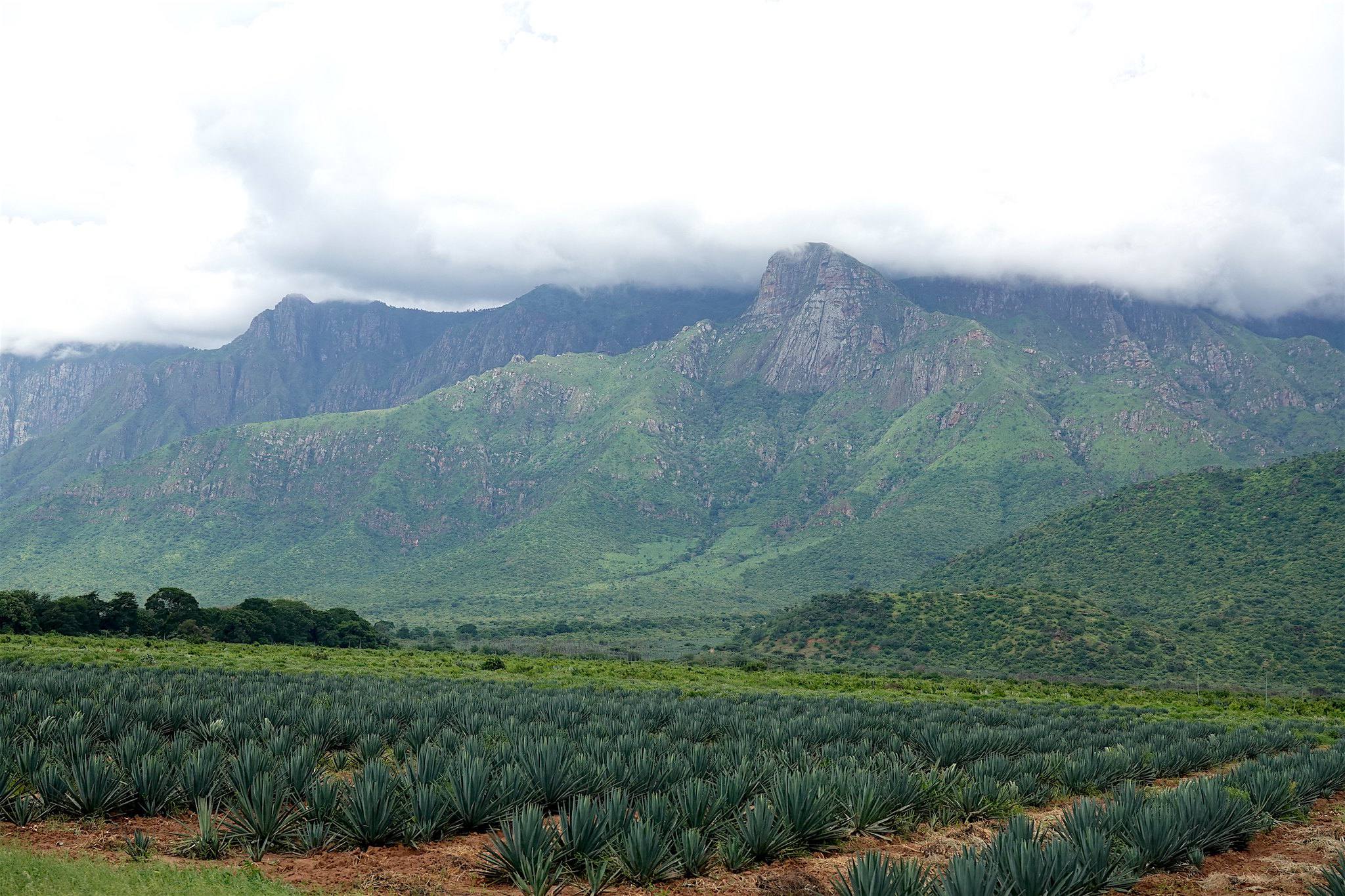 Usambara Cultural Tour