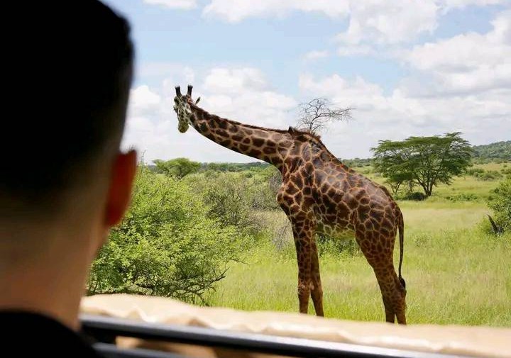 4 Days Tanzania Nature, Wildlife and Cultral Experience Safari