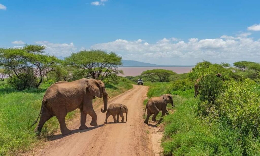 4 Days Tarangire, Serengeti & Ngorongoro Budget Tour