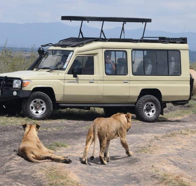 5 Days Tarangire, Serengeti, Ngorongoro and Manyara Journey Safari