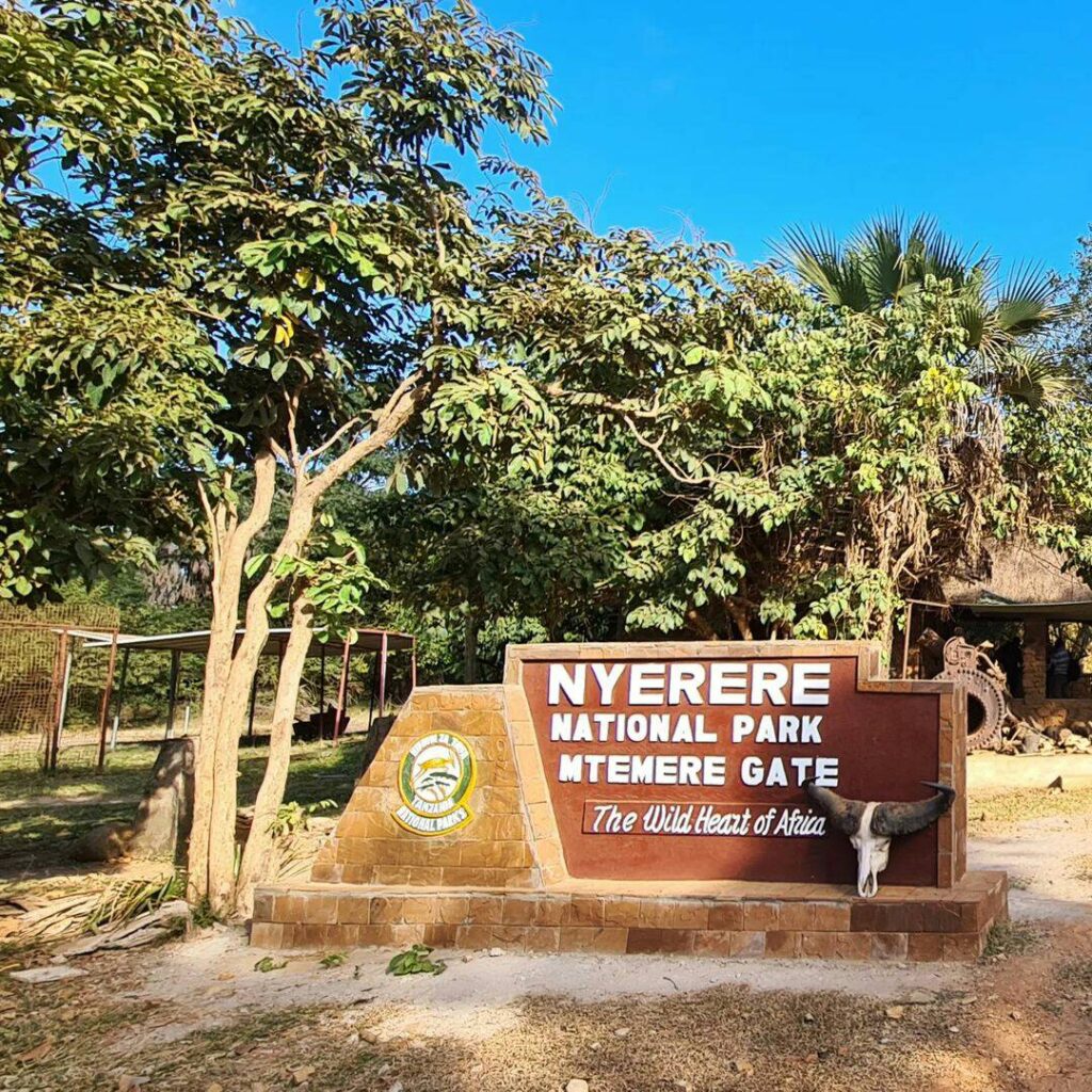 3 Days Nyerere NP, Walking Boating Safari