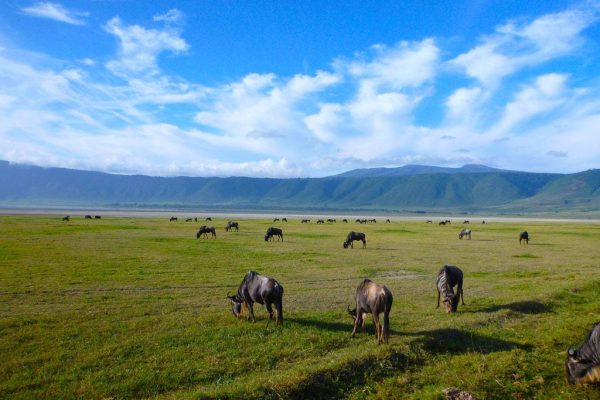 Ngorongoro-crater-1