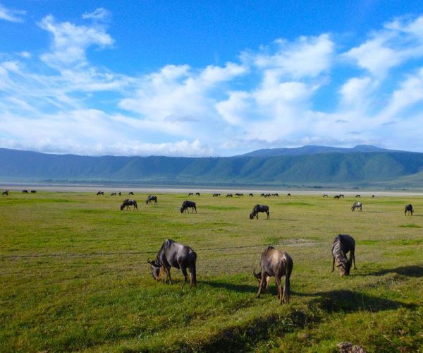 Ngorongoro-crater-1