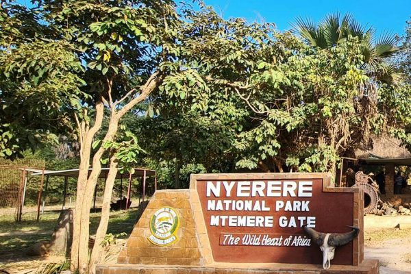 3 Days Nyerere NP, Walking Boating Safari