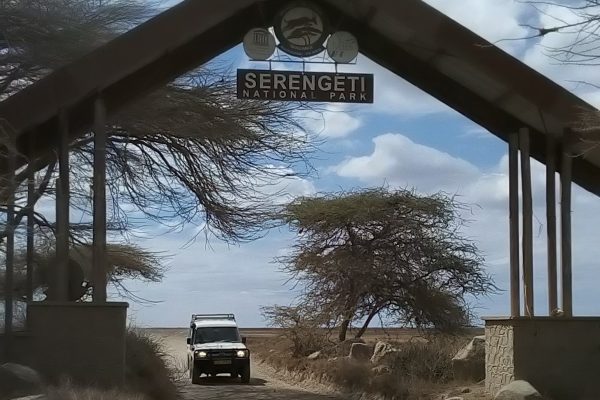 serengeti-np-1